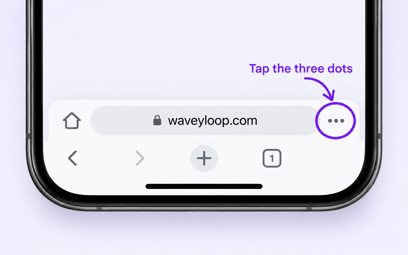 Safari address bar with the page menu circled