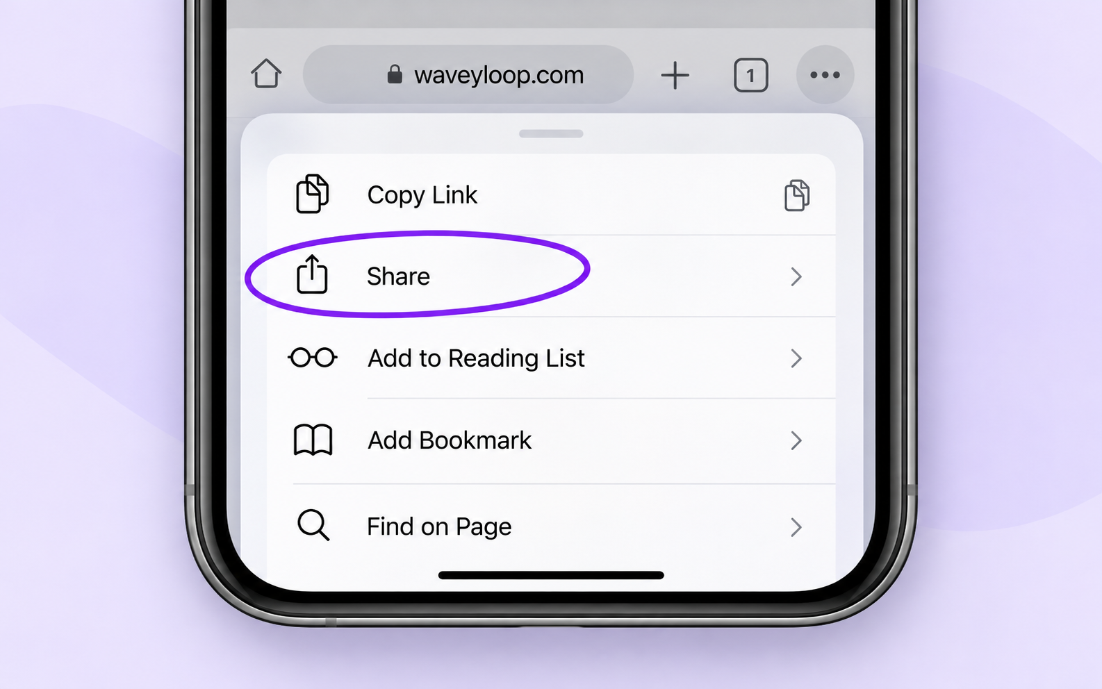 Share option circled in the Safari page menu